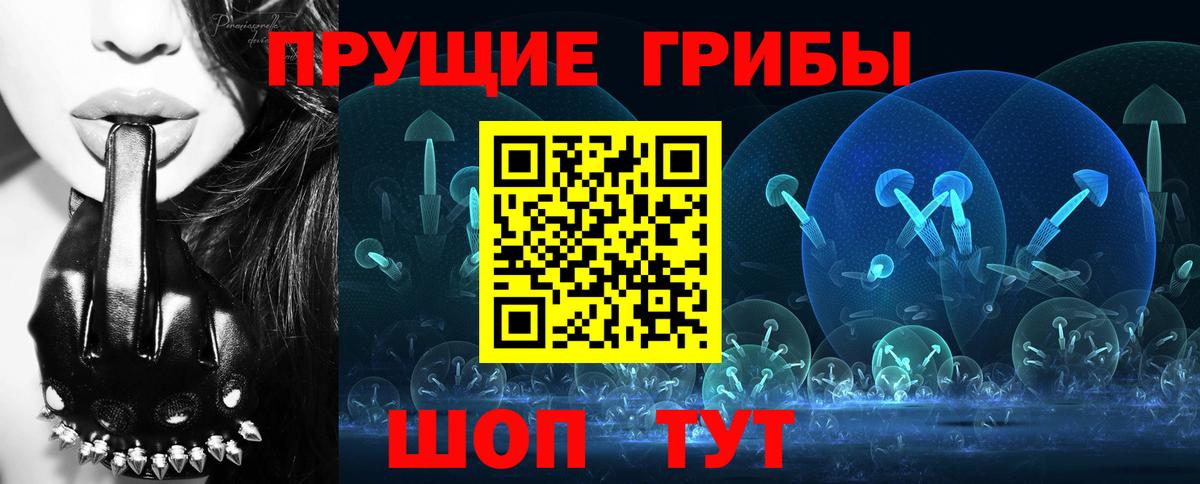Псилоцибиновые грибы мицелий Коркино